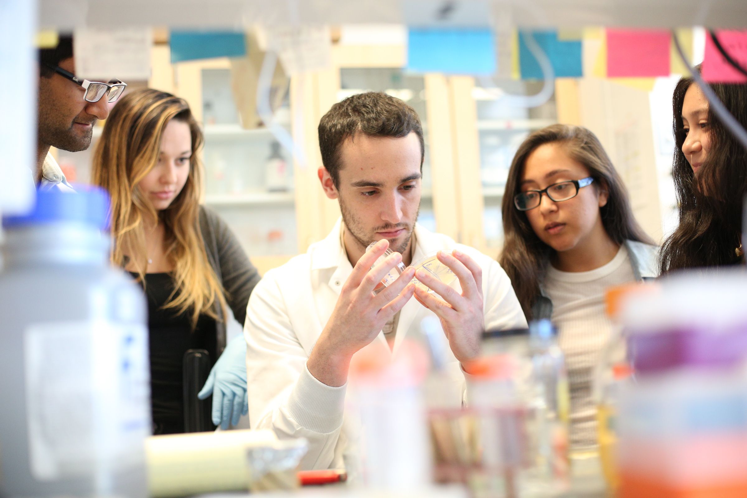 undergraduate research programs new york