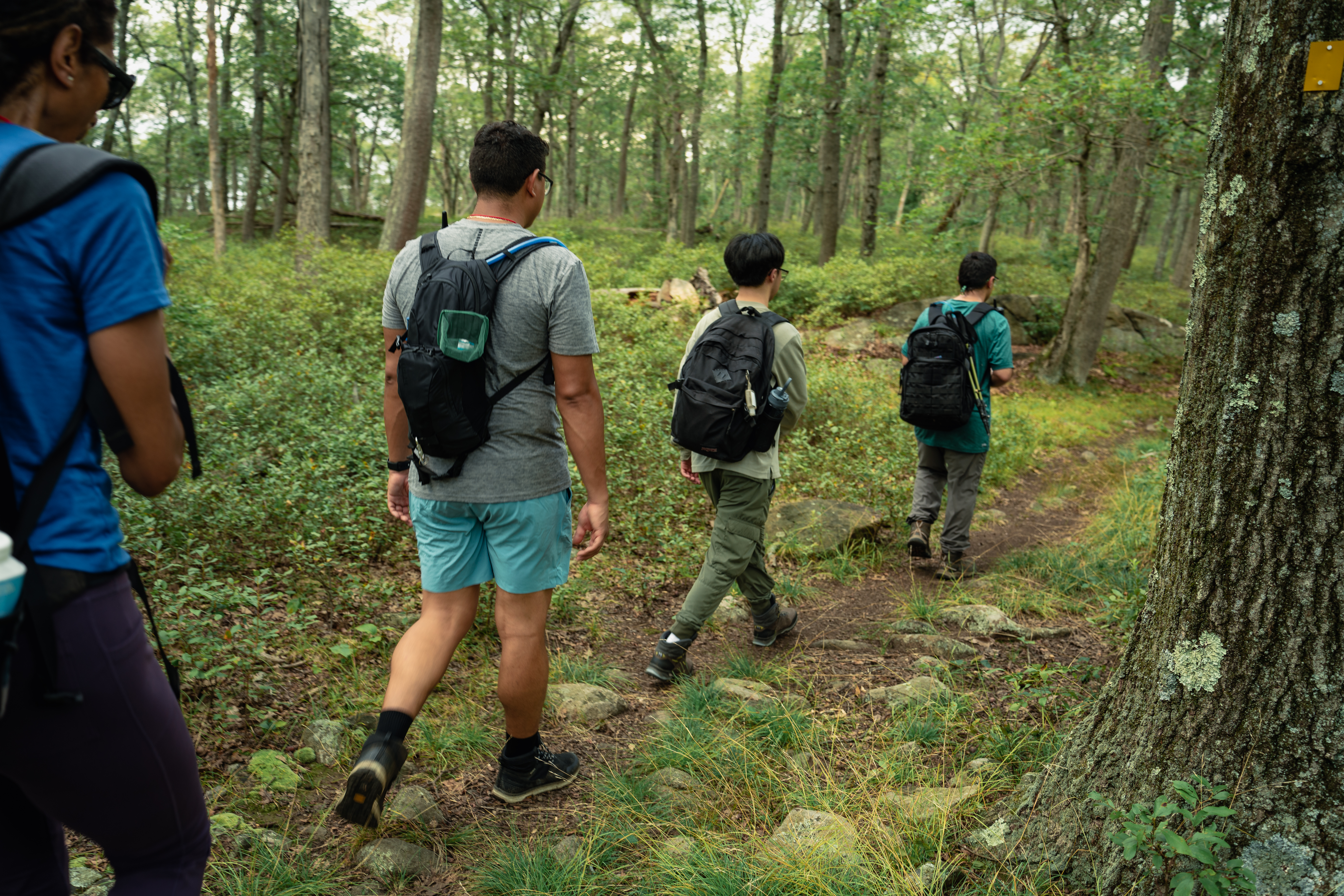 Students from CCNY walking in the woods.
