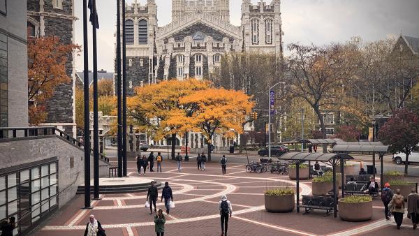 CCNY campus Fall