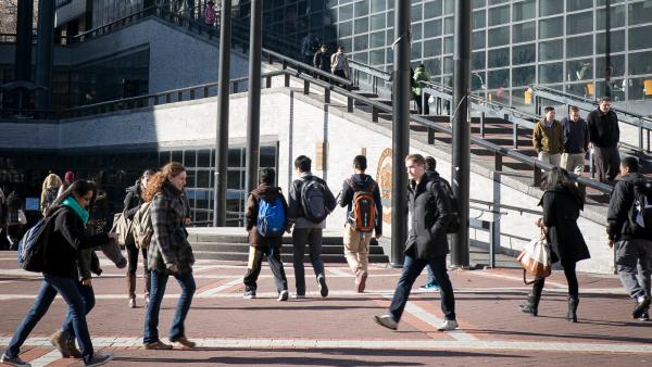 CCNY Students in the fall