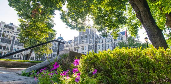 CCNY quad summer photo