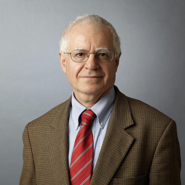 Professor Feridun Delale