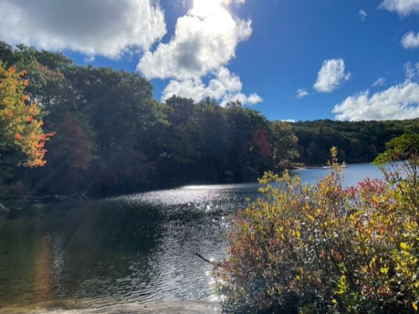 Harlem In The Woods Scenery 