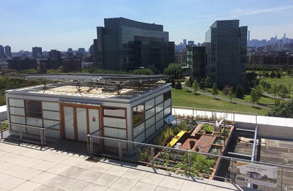 Solar RoofPod and Harlem Garden for Urban Food