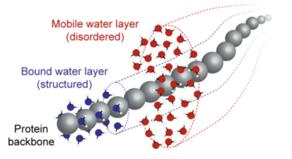 Raymond Tu Water-responsive materials research