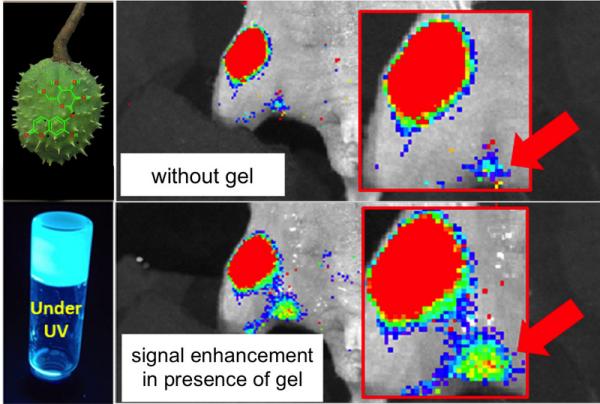 George John cancer_Imaging