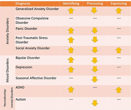 Novel MAS model linked emotion regulation 