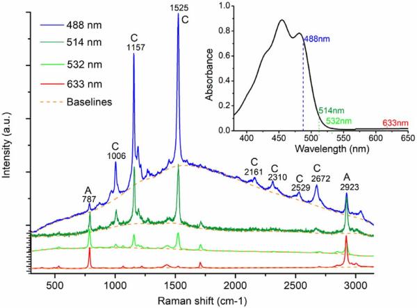 Raman Spectra