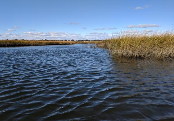 Maria Tzortziou Long Island Sound_Sea Grant_Research2