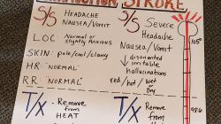 Signs of Heat Exhaustion and Heat Stroke