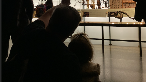 Man and child looking at natural history exhibit