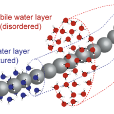 Raymond Tu Water-responsive materials research